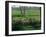 Children Tending Family Herds in Cultivated Fields at Saqqara, Egypt-Kenneth Garrett-Framed Photographic Print