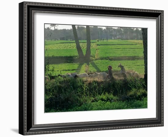 Children Tending Family Herds in Cultivated Fields at Saqqara, Egypt-Kenneth Garrett-Framed Photographic Print