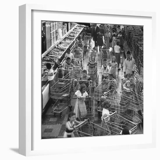 Children with Shopping Carts Let Loose in Supermarket During Experiment by Kroger Food Foundation-Francis Miller-Framed Photographic Print