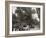 Childrens Day Parade at Belle Isle Park, Detroit, Mich.-null-Framed Photo