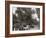 Childrens Day Parade at Belle Isle Park, Detroit, Mich.-null-Framed Photo