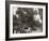 Childrens Day Parade at Belle Isle Park, Detroit, Mich.-null-Framed Photo