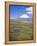 Chile, Andes, Lauca National Park, Lake Chungara and Volcan Parinacota, 6300M-Geoff Renner-Framed Premier Image Canvas