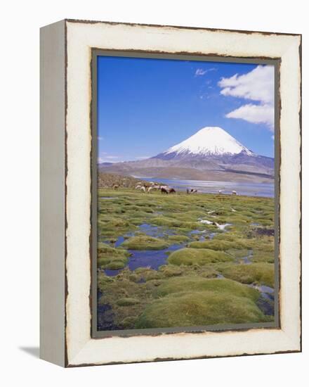 Chile, Andes, Lauca National Park, Lake Chungara and Volcan Parinacota, 6300M-Geoff Renner-Framed Premier Image Canvas