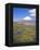 Chile, Andes, Lauca National Park, Lake Chungara and Volcan Parinacota, 6300M-Geoff Renner-Framed Premier Image Canvas