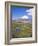 Chile, Andes, Lauca National Park, Lake Chungara and Volcan Parinacota, 6300M-Geoff Renner-Framed Photographic Print