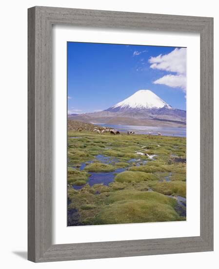 Chile, Andes, Lauca National Park, Lake Chungara and Volcan Parinacota, 6300M-Geoff Renner-Framed Photographic Print