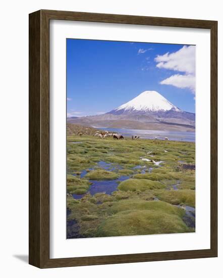 Chile, Andes, Lauca National Park, Lake Chungara and Volcan Parinacota, 6300M-Geoff Renner-Framed Photographic Print