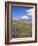 Chile, Andes, Lauca National Park, Lake Chungara and Volcan Parinacota, 6300M-Geoff Renner-Framed Photographic Print