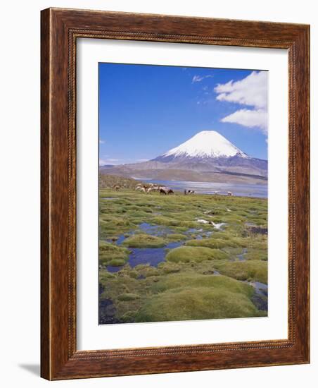 Chile, Andes, Lauca National Park, Lake Chungara and Volcan Parinacota, 6300M-Geoff Renner-Framed Photographic Print