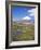 Chile, Andes, Lauca National Park, Lake Chungara and Volcan Parinacota, 6300M-Geoff Renner-Framed Photographic Print