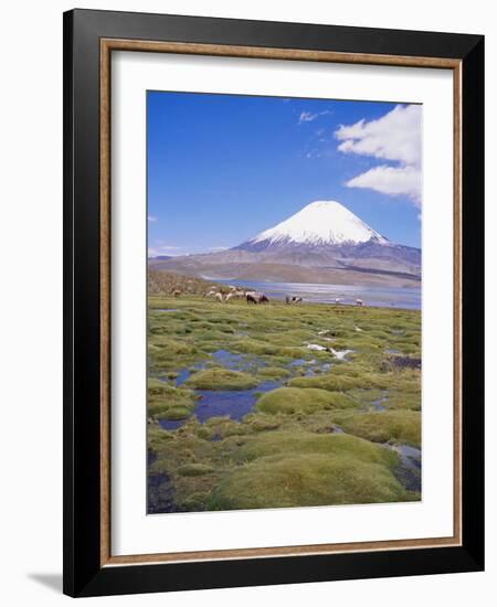 Chile, Andes, Lauca National Park, Lake Chungara and Volcan Parinacota, 6300M-Geoff Renner-Framed Photographic Print