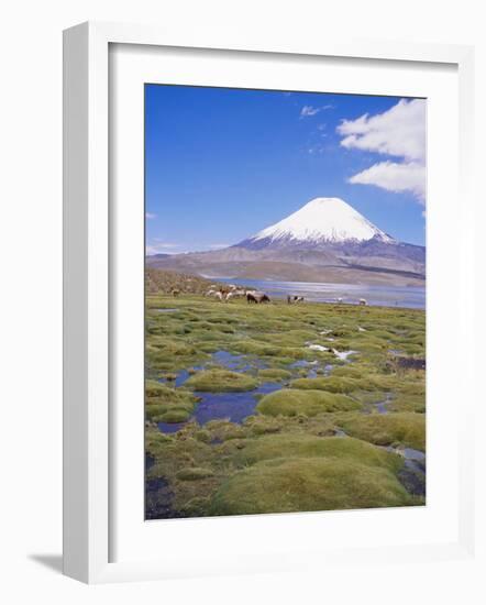 Chile, Andes, Lauca National Park, Lake Chungara and Volcan Parinacota, 6300M-Geoff Renner-Framed Photographic Print