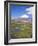 Chile, Andes, Lauca National Park, Lake Chungara and Volcan Parinacota, 6300M-Geoff Renner-Framed Photographic Print