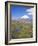 Chile, Andes, Lauca National Park, Lake Chungara and Volcan Parinacota, 6300M-Geoff Renner-Framed Photographic Print