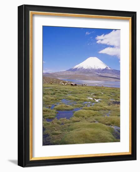 Chile, Andes, Lauca National Park, Lake Chungara and Volcan Parinacota, 6300M-Geoff Renner-Framed Photographic Print