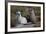 Chile, Andes Mountains, Tara Salt Lake. Close Up of Llamas Resting-Mallorie Ostrowitz-Framed Photographic Print