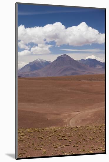 Chile, Atacama Desert, Desert Landscape by the Paso Jama-Walter Bibikow-Mounted Photographic Print