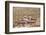 Chile, Atacama Desert, Machuca-Nigel Pavitt-Framed Photographic Print