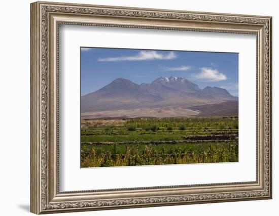 Chile, Atacama Desert, Socaire, Mountains and Fields-Walter Bibikow-Framed Photographic Print
