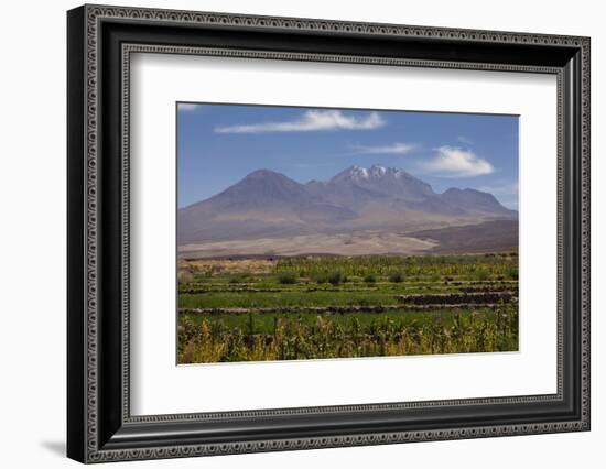 Chile, Atacama Desert, Socaire, Mountains and Fields-Walter Bibikow-Framed Photographic Print