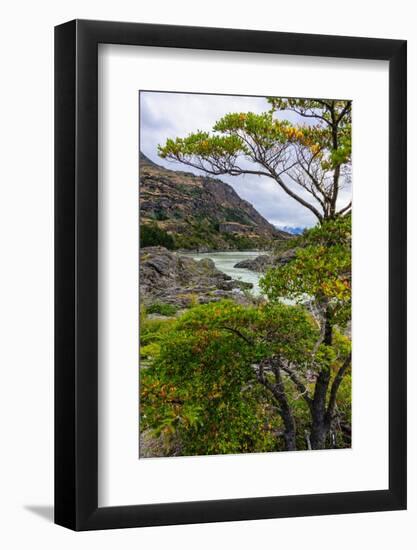 Chile, Aysen, Baker River. Landscape along the Baker River.-Fredrik Norrsell-Framed Photographic Print