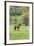 Chile, Aysen, Cerro Castillo. Horse in pasture.-Fredrik Norrsell-Framed Premium Photographic Print