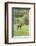 Chile, Aysen, Cerro Castillo. Horse in pasture.-Fredrik Norrsell-Framed Photographic Print