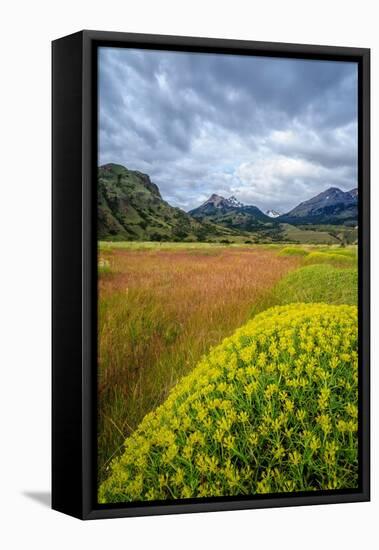 Chile, Aysen, Patagonia NP, Valle Chacabuco. Landscape with spiny Neneo plants in the foreground.-Fredrik Norrsell-Framed Premier Image Canvas