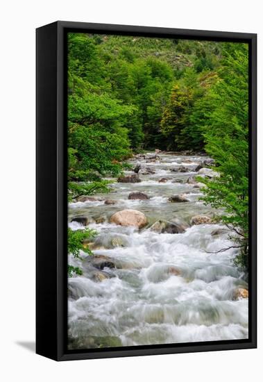 Chile, Aysen. Small mountain stream.-Fredrik Norrsell-Framed Premier Image Canvas