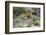 Chile, Aysen, Valle Chacabuco. Fuegian Fox in Patagonia Park.-Fredrik Norrsell-Framed Photographic Print