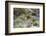 Chile, Aysen, Valle Chacabuco. Fuegian Fox in Patagonia Park.-Fredrik Norrsell-Framed Photographic Print