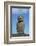 Chile, Easter Island, Hanga Nui. Rapa Nui, Ahu Tongariki. Moi Statue-Cindy Miller Hopkins-Framed Photographic Print