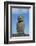 Chile, Easter Island, Hanga Nui. Rapa Nui, Ahu Tongariki. Moi Statue-Cindy Miller Hopkins-Framed Photographic Print