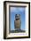 Chile, Easter Island, Hanga Nui. Rapa Nui, Ahu Tongariki. Moi Statue-Cindy Miller Hopkins-Framed Photographic Print