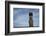 Chile, Easter Island, Hanga Roa. Ahu Tahai, Standing Moai Statue-Cindy Miller Hopkins-Framed Photographic Print