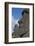 Chile, Easter Island. Rapa Nui, Historic Site of Rano Raraku. Moi Face-Cindy Miller Hopkins-Framed Photographic Print