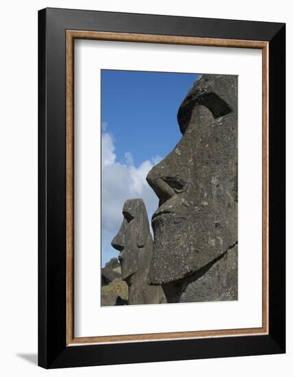 Chile, Easter Island. Rapa Nui, Historic Site of Rano Raraku. Moi Face-Cindy Miller Hopkins-Framed Photographic Print