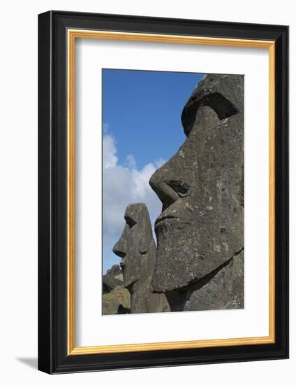 Chile, Easter Island. Rapa Nui, Historic Site of Rano Raraku. Moi Face-Cindy Miller Hopkins-Framed Photographic Print