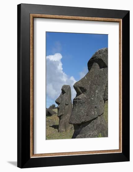 Chile, Easter Island. Rapa Nui NP, Historic Site of Rano Raraku. Moi-Cindy Miller Hopkins-Framed Photographic Print