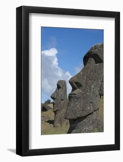 Chile, Easter Island. Rapa Nui NP, Historic Site of Rano Raraku. Moi-Cindy Miller Hopkins-Framed Photographic Print