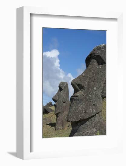 Chile, Easter Island. Rapa Nui NP, Historic Site of Rano Raraku. Moi-Cindy Miller Hopkins-Framed Photographic Print