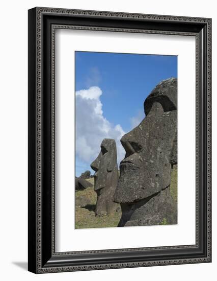 Chile, Easter Island. Rapa Nui NP, Historic Site of Rano Raraku. Moi-Cindy Miller Hopkins-Framed Photographic Print