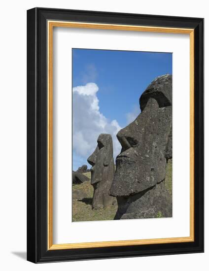 Chile, Easter Island. Rapa Nui NP, Historic Site of Rano Raraku. Moi-Cindy Miller Hopkins-Framed Photographic Print