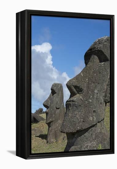 Chile, Easter Island. Rapa Nui NP, Historic Site of Rano Raraku. Moi-Cindy Miller Hopkins-Framed Premier Image Canvas
