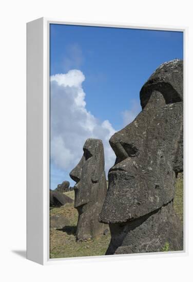 Chile, Easter Island. Rapa Nui NP, Historic Site of Rano Raraku. Moi-Cindy Miller Hopkins-Framed Premier Image Canvas