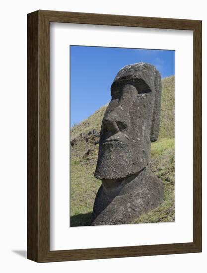 Chile, Easter Island. Rapa Nui NP, Historic Site of Rano Raraku. Moi-Cindy Miller Hopkins-Framed Photographic Print