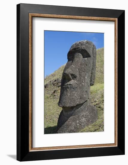 Chile, Easter Island. Rapa Nui NP, Historic Site of Rano Raraku. Moi-Cindy Miller Hopkins-Framed Photographic Print