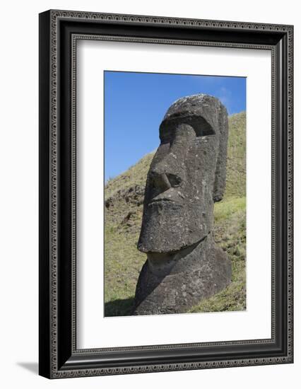 Chile, Easter Island. Rapa Nui NP, Historic Site of Rano Raraku. Moi-Cindy Miller Hopkins-Framed Photographic Print