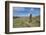 Chile, Easter Island. Rapa Nui NP, Historic Site of Rano Raraku. Moi-Cindy Miller Hopkins-Framed Photographic Print